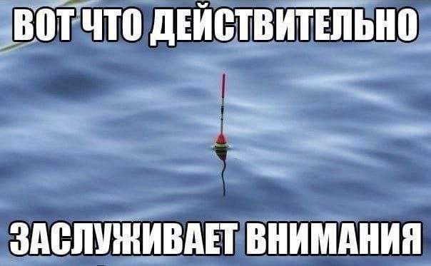 Лучшие мемы и картинки - 22.08.2025 Лучшие мемы и картинки - 22.08.2025