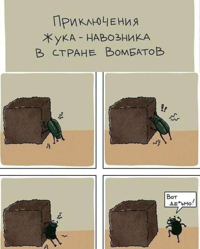 Смешные мемы - 25.08.2025