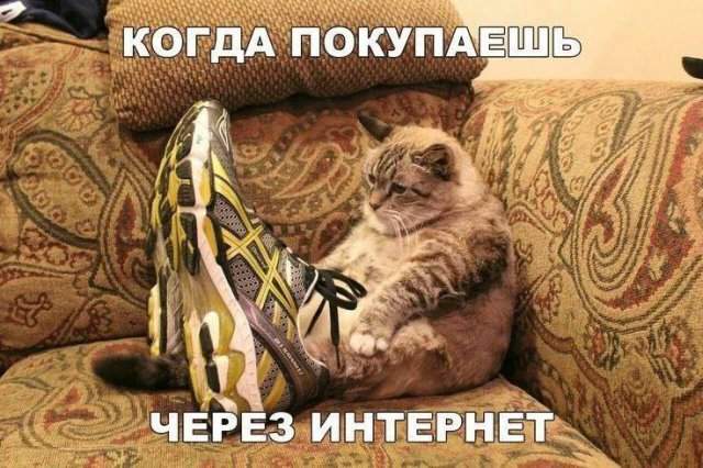 Лучшие шутки и мемы из Сети - 25.08.2025 Лучшие шутки и мемы из Сети - 25.08.2025