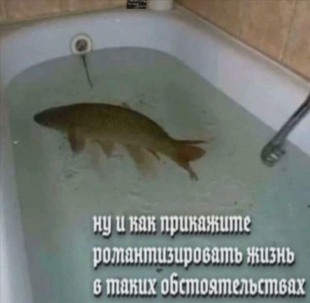 Лучшие шутки и мемы из Сети - 25.08.2025 Лучшие шутки и мемы из Сети - 25.08.2025