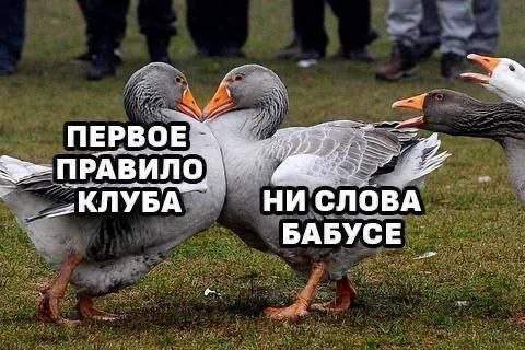 Смешные мемы - 26.08.2025