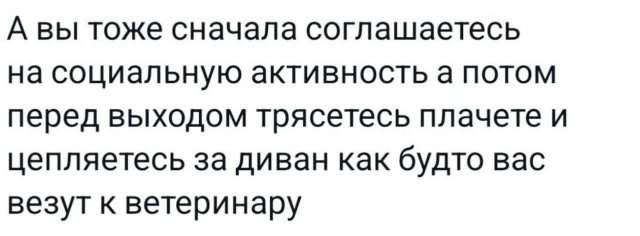 Смешные мемы - 26.08.2025