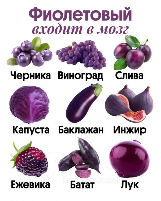 Диетологи: цвет еды связан с тем, какие вещества мы получаем и каким органам они нужны Диетологи: цвет еды связан с тем, какие вещества мы получаем и каким органам они нужны