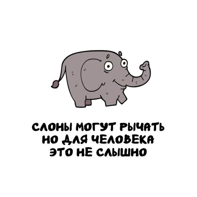 Интересные факты на все случаи жизни