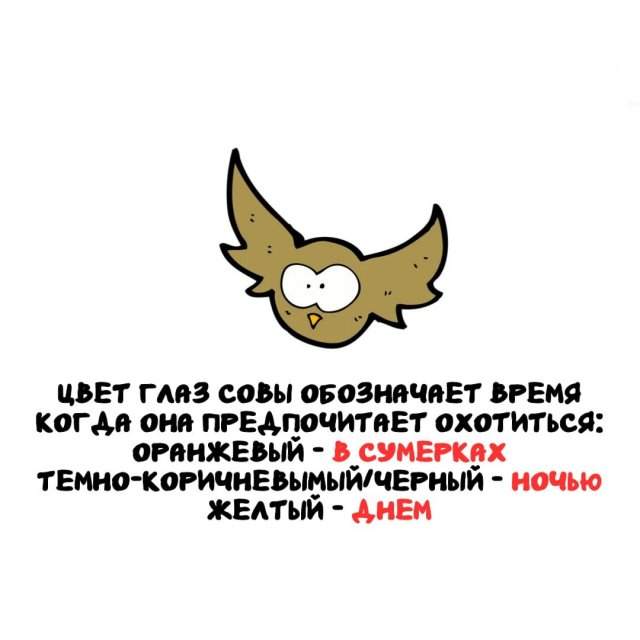 Интересные факты на все случаи жизни