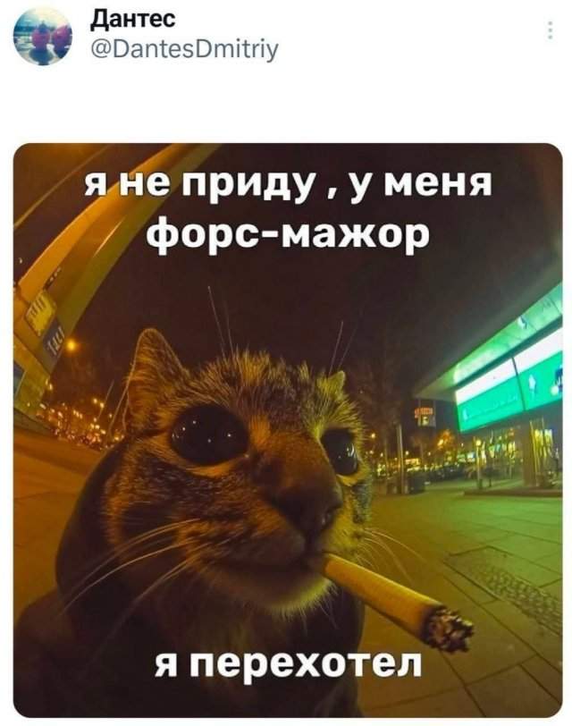 Подборка забавных твитов обо всем Подборка забавных твитов обо всем