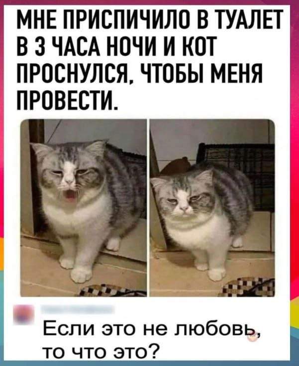 Смешные мемы - 27.08.2025 Смешные мемы - 27.08.2025