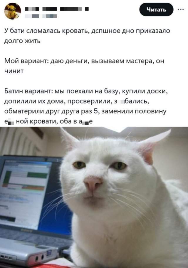 Подборка картинок. Вечерний выпуск - 27.08.2025