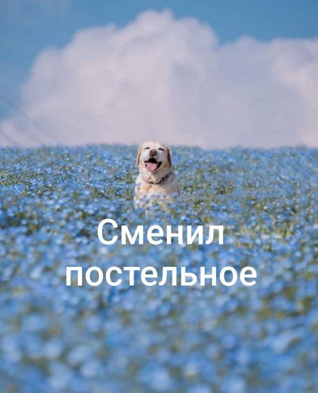 Лучшие шутки и мемы из Сети - 27.08.2025 Лучшие шутки и мемы из Сети - 27.08.2025