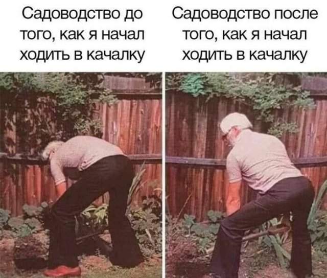 Лучшие шутки и мемы из Сети - 27.08.2025 Лучшие шутки и мемы из Сети - 27.08.2025