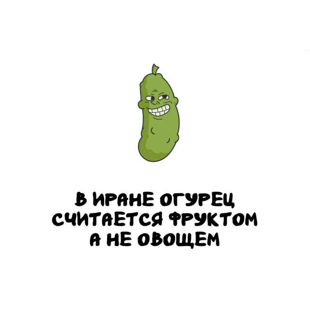 Интересные факты на все случаи жизни Интересные факты на все случаи жизни