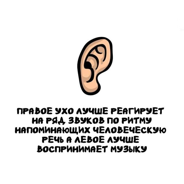 Интересные факты на все случаи жизни Интересные факты на все случаи жизни