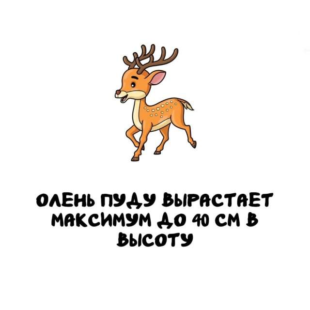Интересные факты на все случаи жизни Интересные факты на все случаи жизни