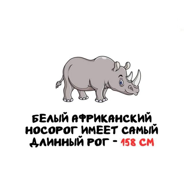 Интересные факты на все случаи жизни Интересные факты на все случаи жизни