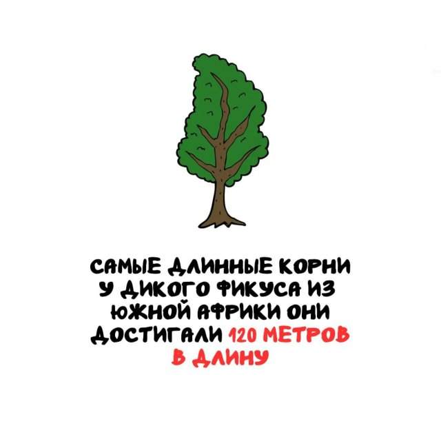 Интересные факты на все случаи жизни Интересные факты на все случаи жизни