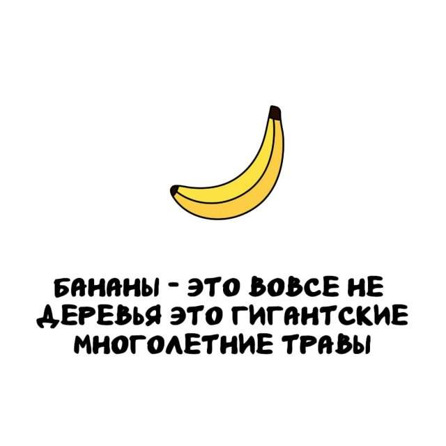 Интересные факты на все случаи жизни Интересные факты на все случаи жизни