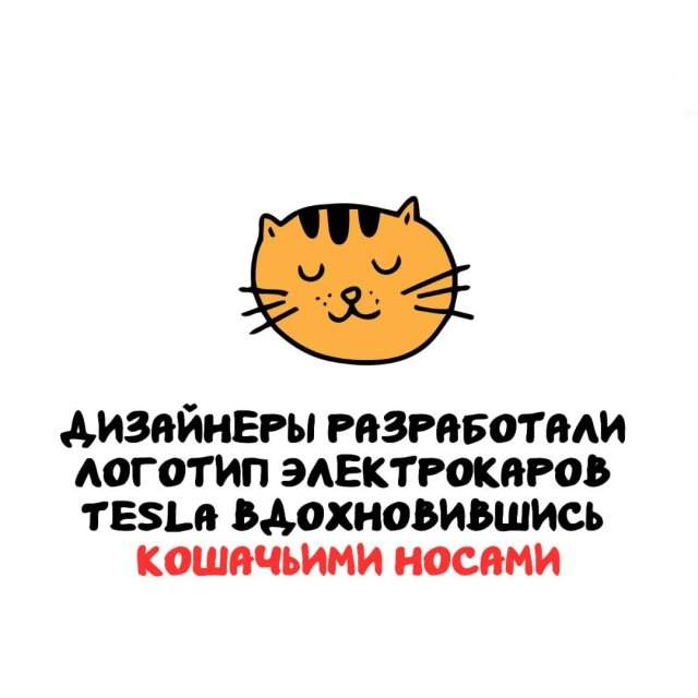 Интересные факты на все случаи жизни Интересные факты на все случаи жизни