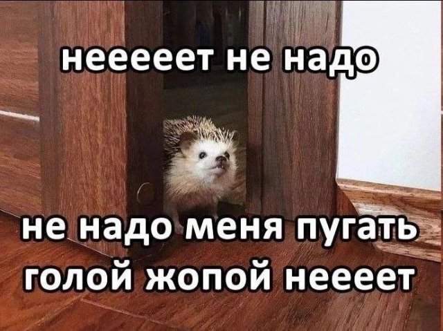 Лучшие шутки и мемы из Сети - 28.08.2025 Лучшие шутки и мемы из Сети - 28.08.2025