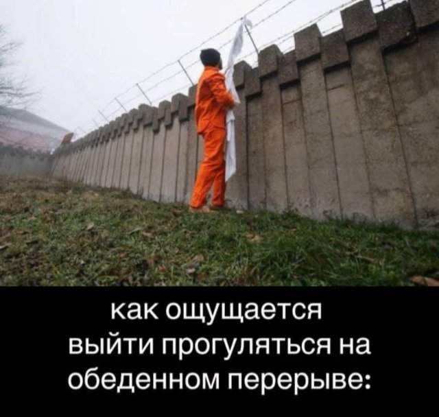 Лучшие шутки и мемы из Сети - 28.08.2025 Лучшие шутки и мемы из Сети - 28.08.2025
