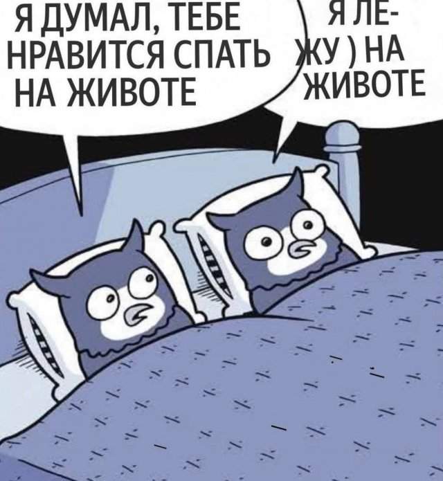 Лучшие шутки и мемы из Сети - 28.08.2025 Лучшие шутки и мемы из Сети - 28.08.2025