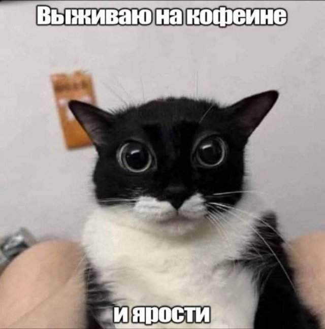 Лучшие шутки и мемы из Сети - 28.08.2025 Лучшие шутки и мемы из Сети - 28.08.2025