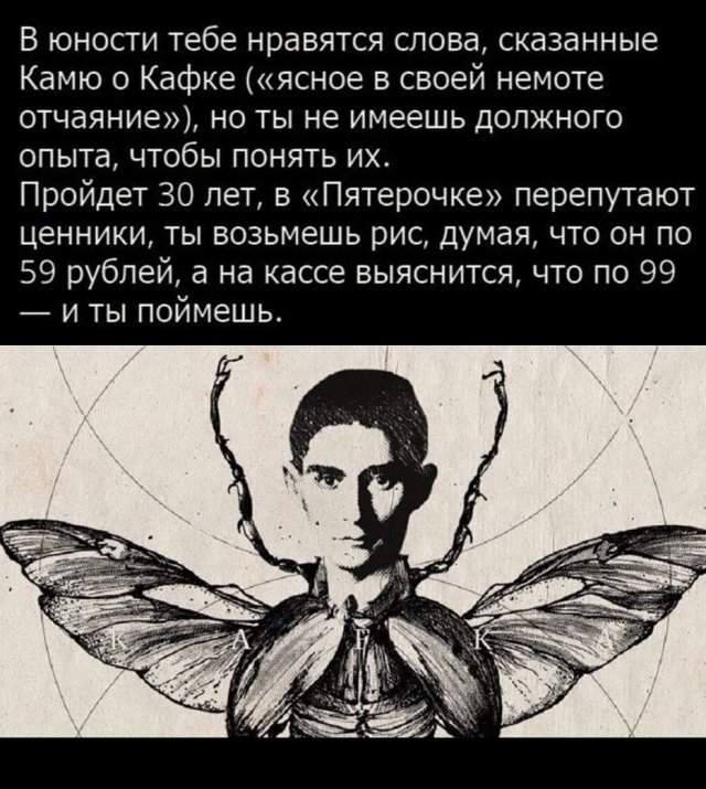 Лучшие шутки и мемы из Сети - 28.08.2025 Лучшие шутки и мемы из Сети - 28.08.2025