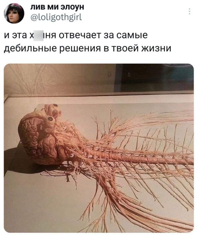 Подборка забавных твитов обо всем Подборка забавных твитов обо всем
