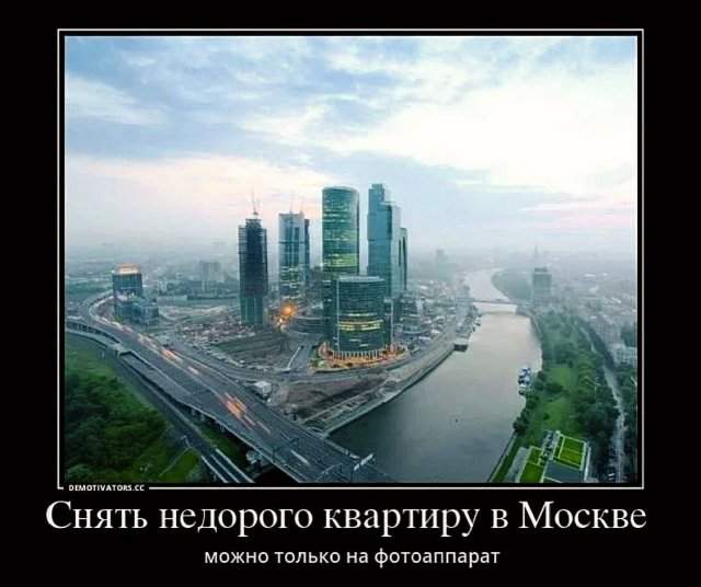 Демотиваторы - 29.08.2025