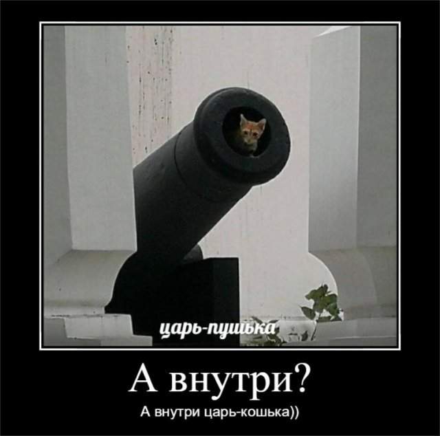 Демотиваторы - 29.08.2025
