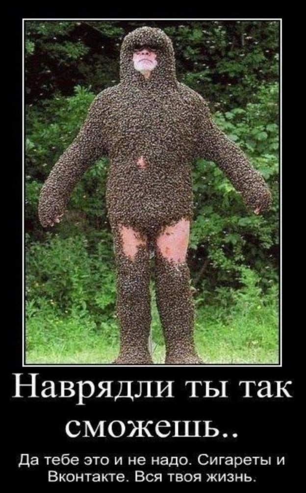 Демотиваторы - 29.08.2025