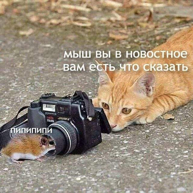 Лучшие шутки и мемы из Сети - 29.08.2025 Лучшие шутки и мемы из Сети - 29.08.2025