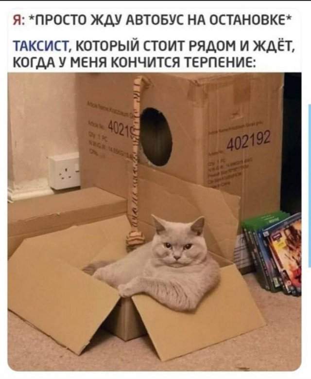 Смешные картинки - 01.09.2025 Смешные картинки - 01.09.2025