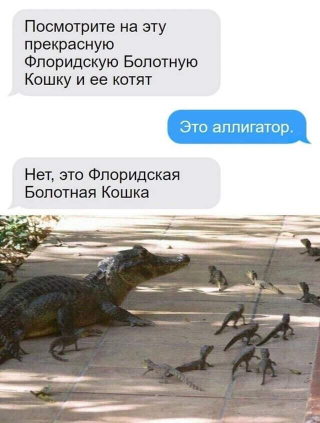 Смешные картинки - 01.09.2025 Смешные картинки - 01.09.2025