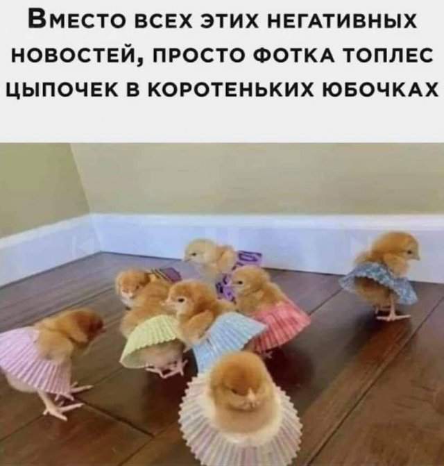 Смешные картинки - 01.09.2025 Смешные картинки - 01.09.2025