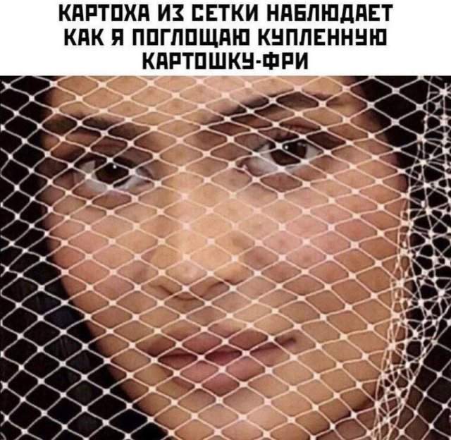 Лучшие шутки и мемы из Сети - 01.09.2025 Лучшие шутки и мемы из Сети - 01.09.2025