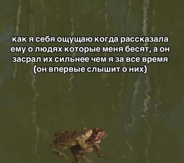 Лучшие шутки и мемы из Сети - 01.09.2025 Лучшие шутки и мемы из Сети - 01.09.2025