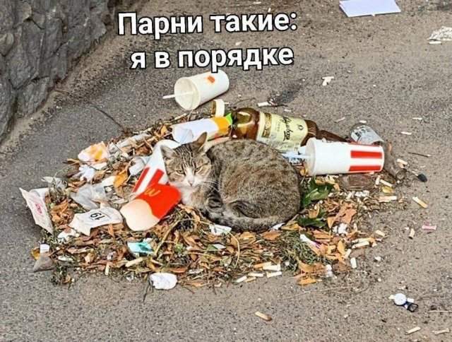 Лучшие шутки и мемы из Сети - 01.09.2025 Лучшие шутки и мемы из Сети - 01.09.2025