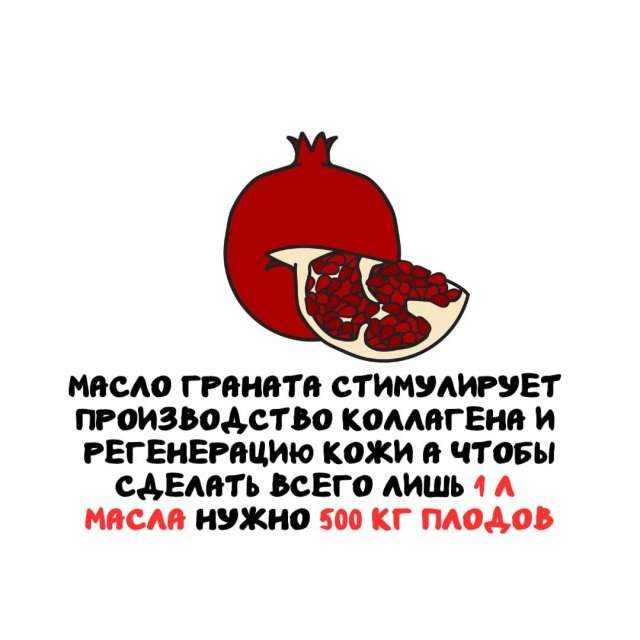Интересные факты на все случаи жизни