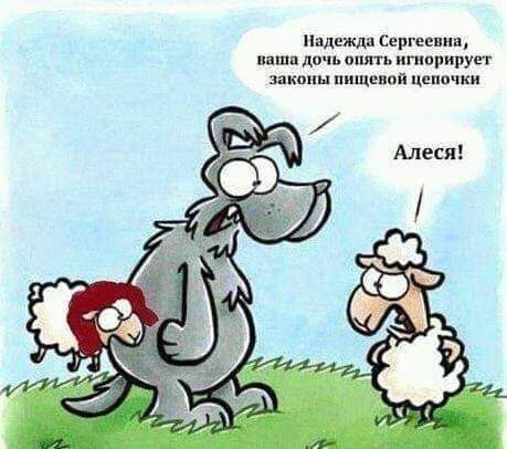 Лучшие шутки и мемы из Сети - 02.09.2025 Лучшие шутки и мемы из Сети - 02.09.2025