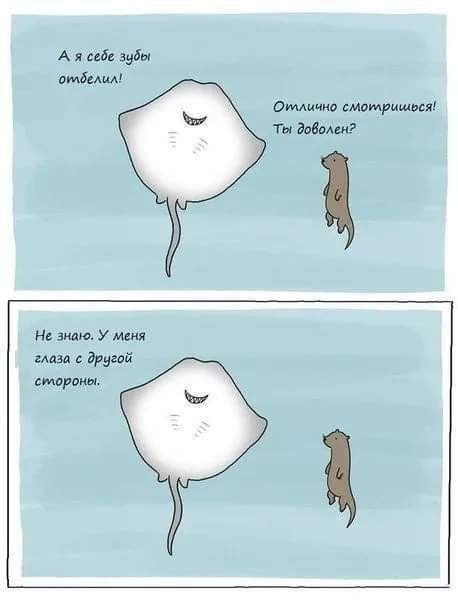 Лучшие шутки и мемы из Сети - 02.09.2025 Лучшие шутки и мемы из Сети - 02.09.2025