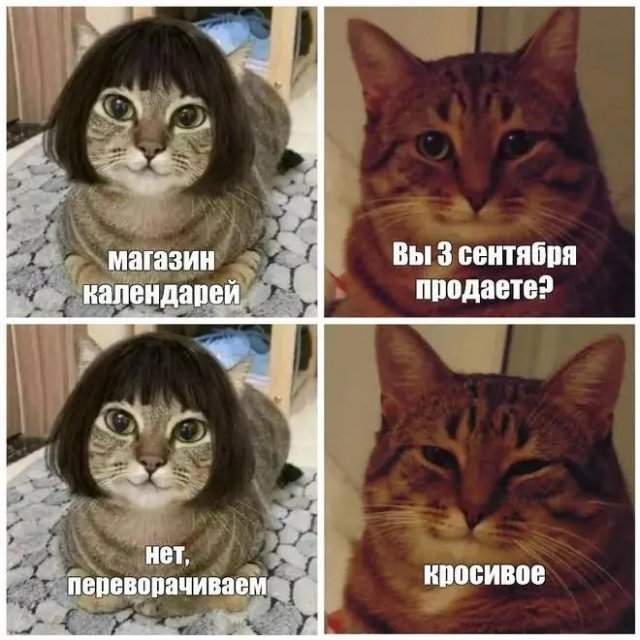 Самая полная подборка мемов про 3 сентября: мы собрали ее в честь Михаила Шуфутинфского Самая полная подборка мемов про 3 сентября: мы собрали ее в честь Михаила Шуфутинфского