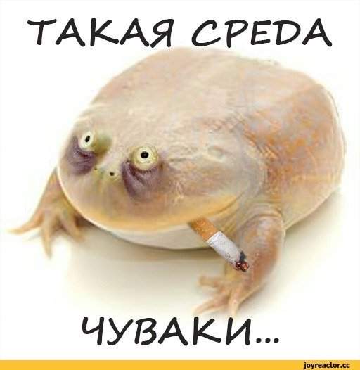 Смешные мемы - 03.09.2025