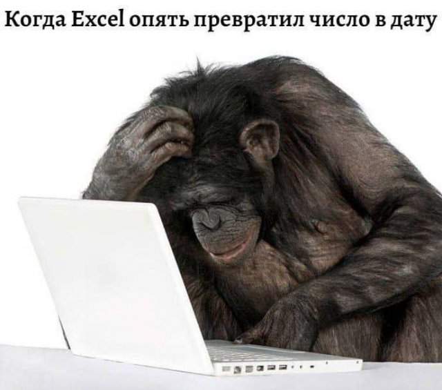 Смешные мемы - 03.09.2025