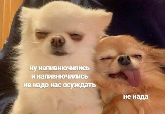 Смешные картинки - 03.09.2025 Смешные картинки - 03.09.2025