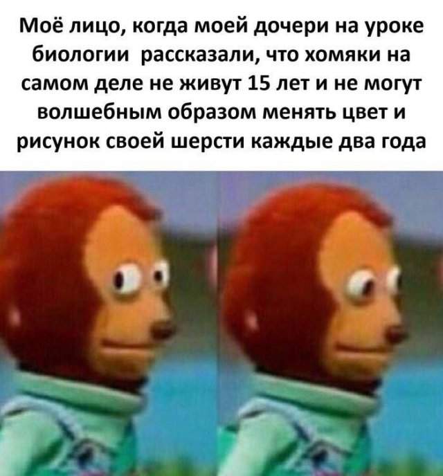 Смешные картинки - 03.09.2025 Смешные картинки - 03.09.2025