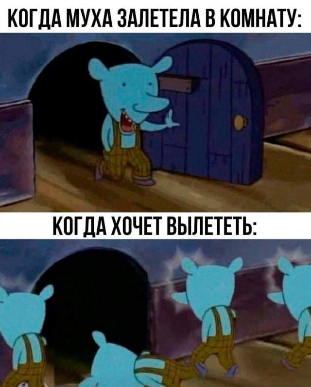 Лучшие шутки и мемы из Сети - 03.09.2025 Лучшие шутки и мемы из Сети - 03.09.2025