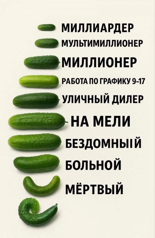 Лучшие шутки и мемы из Сети - 03.09.2025 Лучшие шутки и мемы из Сети - 03.09.2025