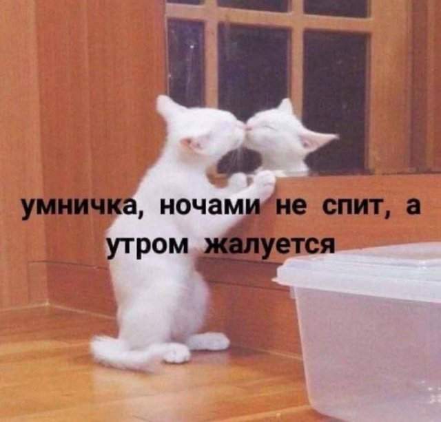 Смешные мемы - 04.09.2025 Смешные мемы - 04.09.2025