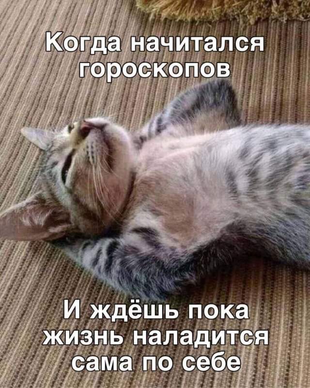 Смешные мемы - 04.09.2025 Смешные мемы - 04.09.2025