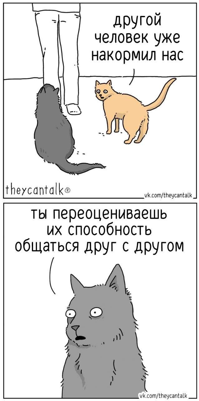 Смешные мемы - 04.09.2025 Смешные мемы - 04.09.2025